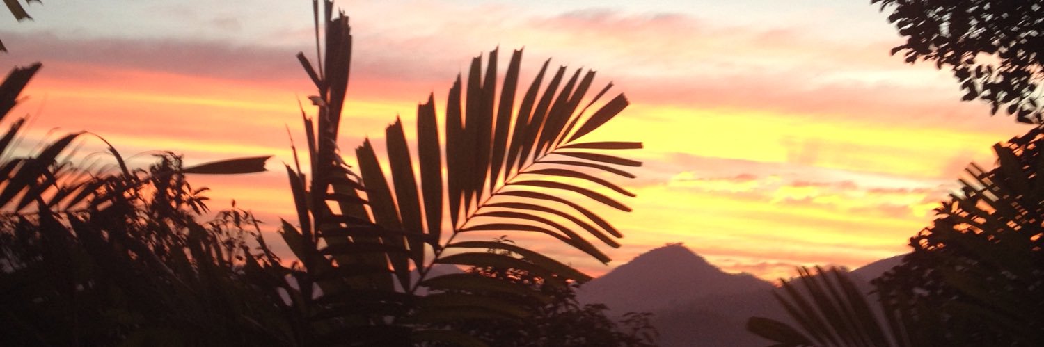 PuedSamcha's profile banner image