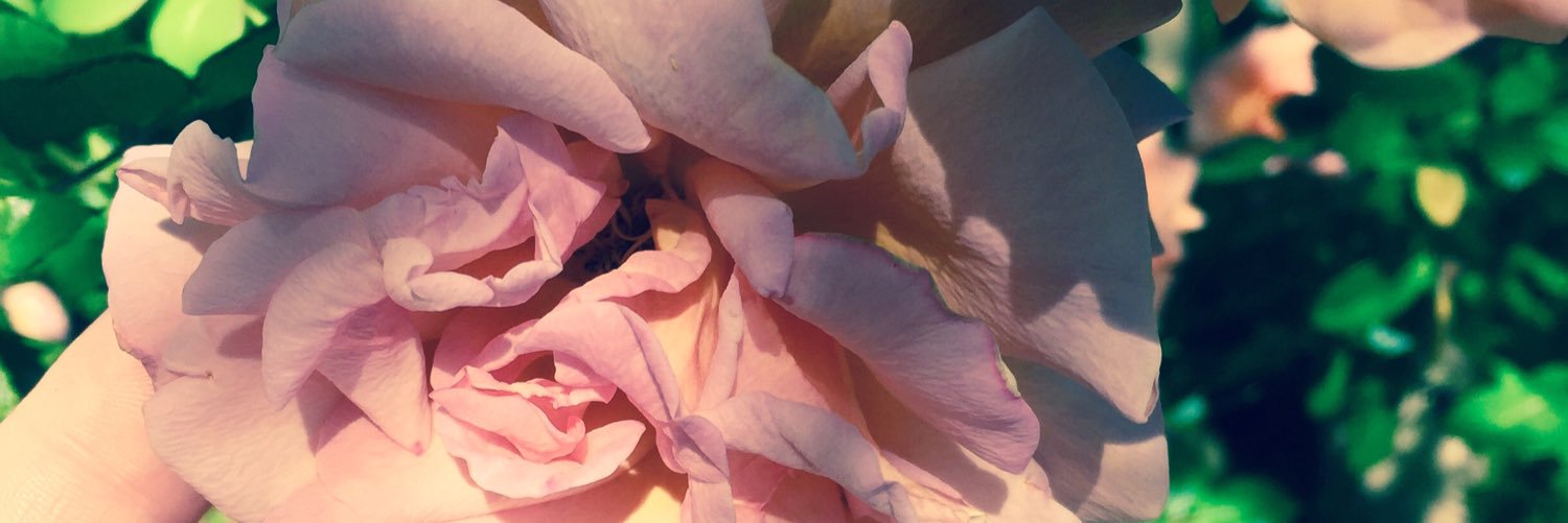 ashleytomberlin's profile banner image
