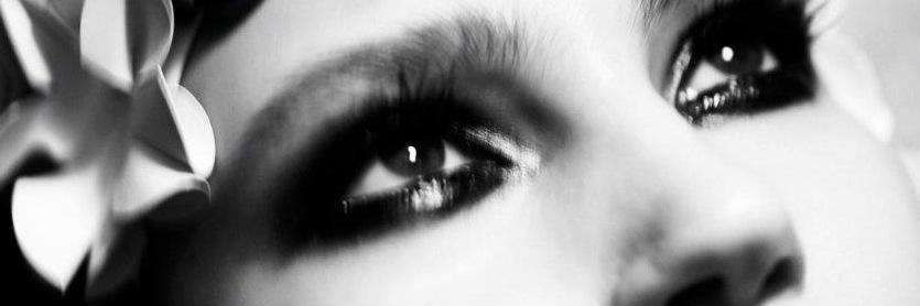 MICHAEL ASHTON banner