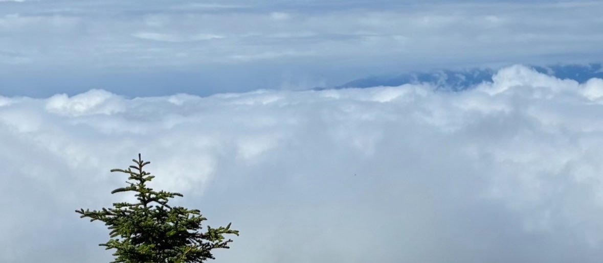 Yutax0uu's profile banner image