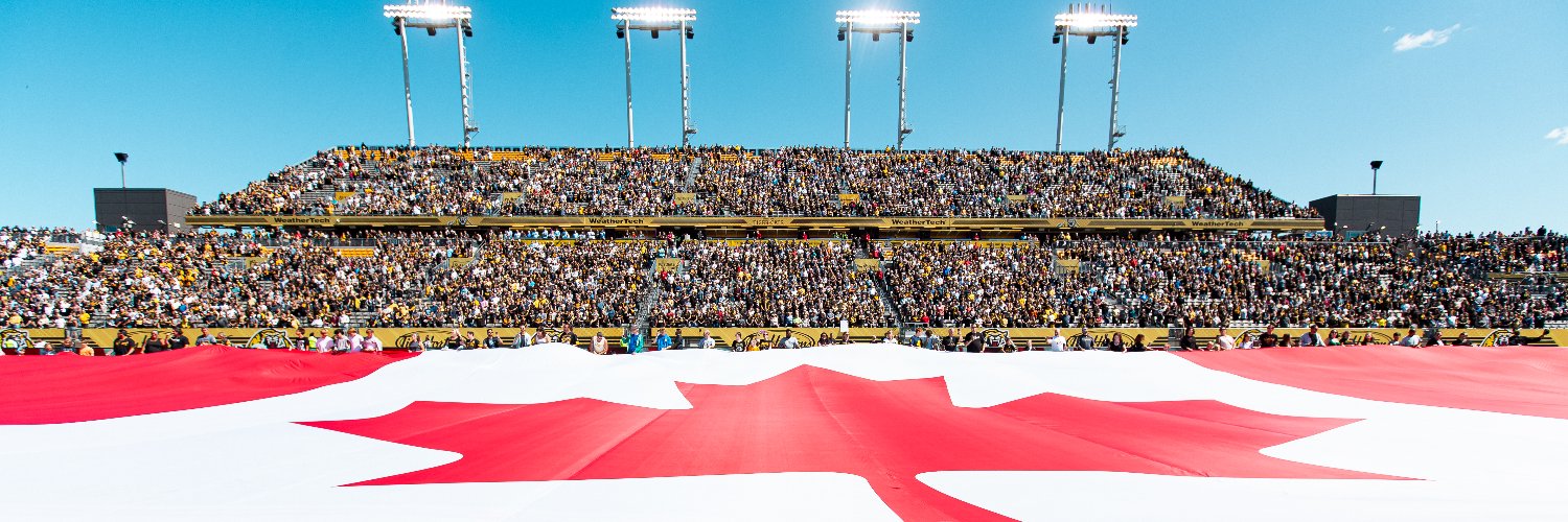 Hamilton Tiger-Cats's banner