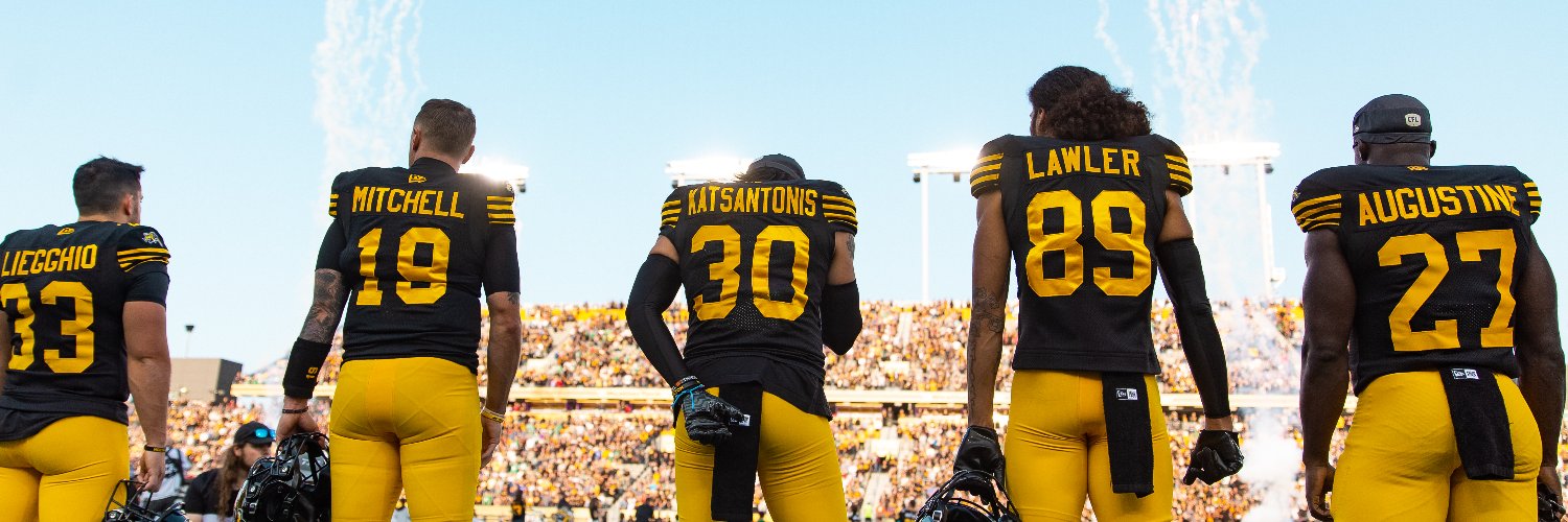 Hamilton Tiger-Cats banner