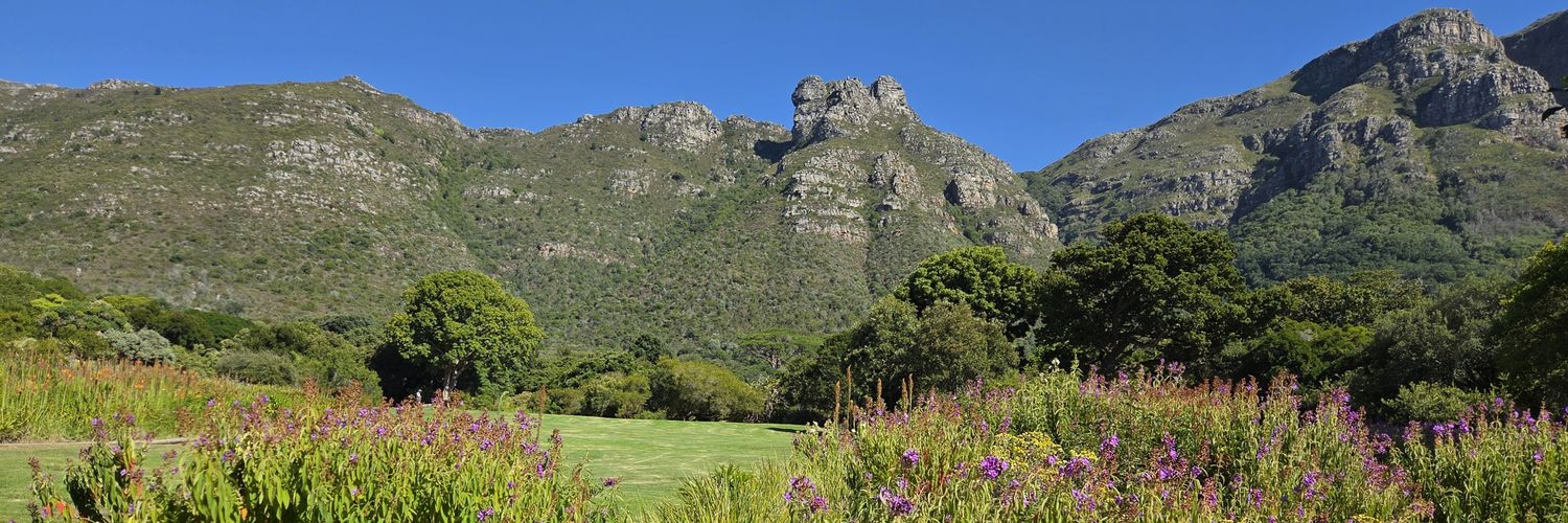 Jaywant Parbhoo banner