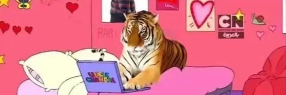 funnyskul's profile banner image