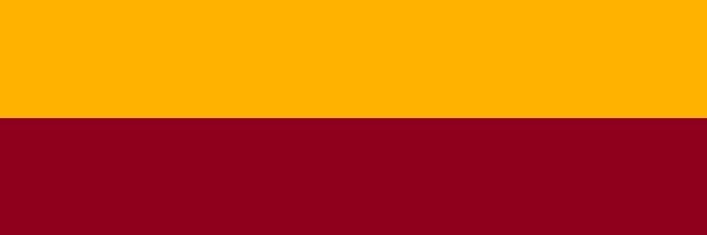 FilippoFlammini's profile banner image
