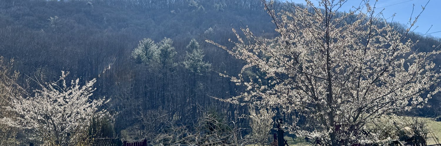 Marjorie Gowdy 💙🌻 📜🖋 🇨🇦🐴 🐾 💙 banner