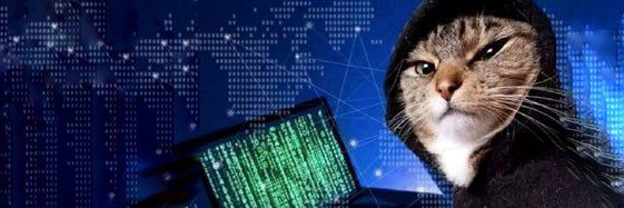 cyberagentsss's profile banner image