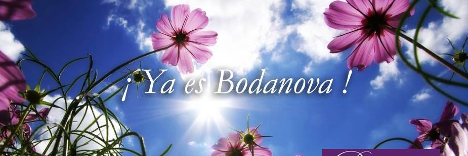 bodanova's profile banner image