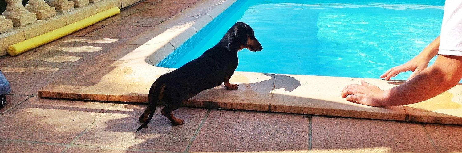 Philip Wilson banner