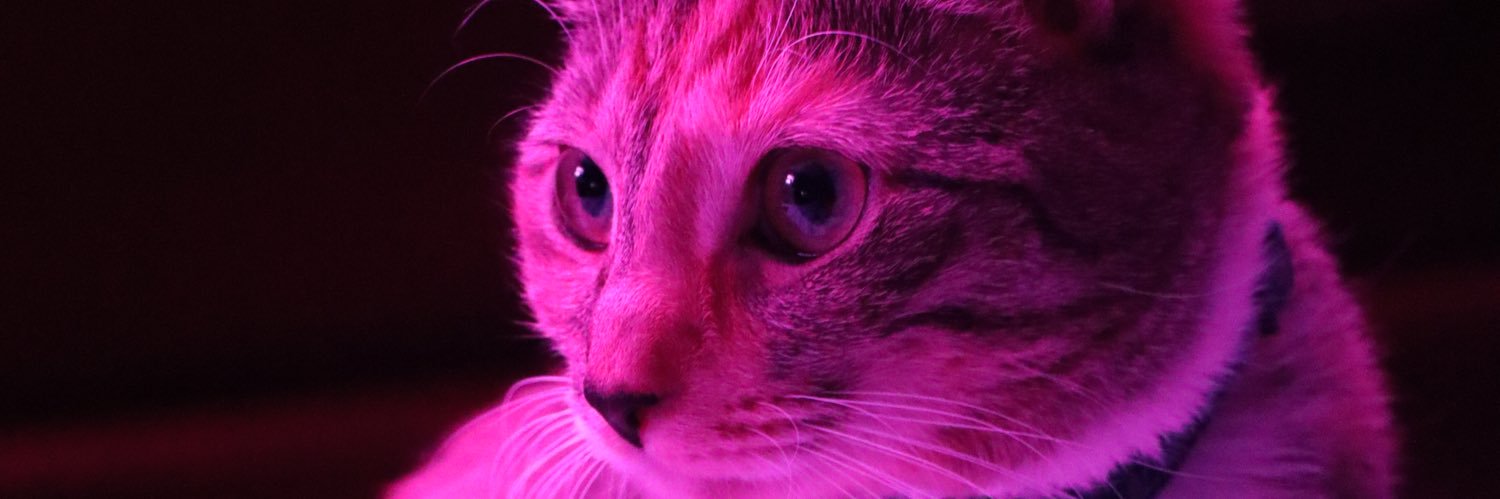 iSoPhresh's profile banner image