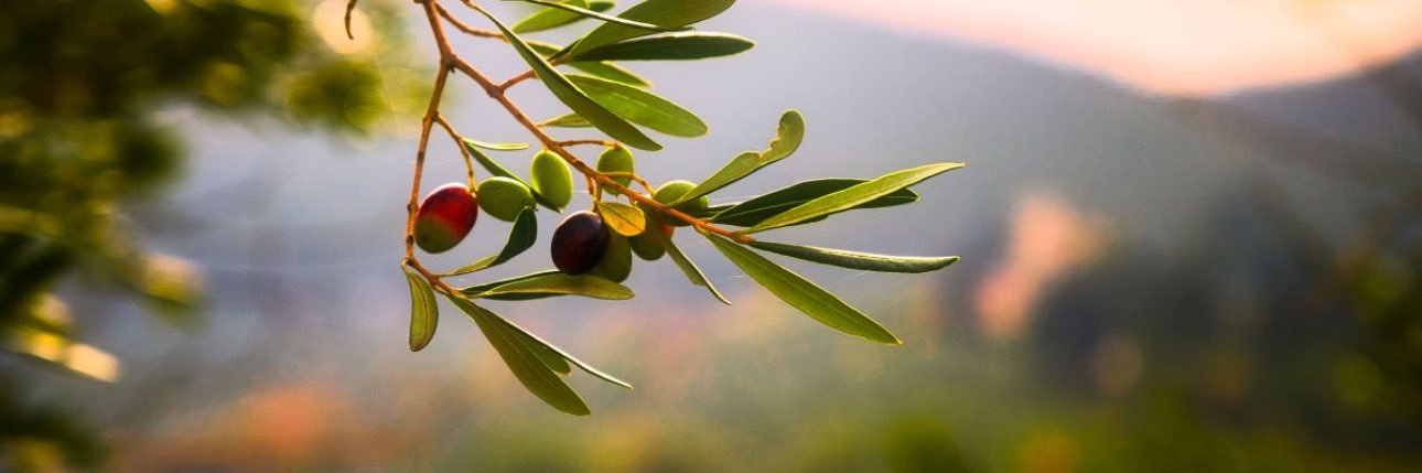 Devon C Johnson banner