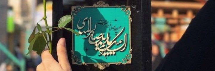 Nargesfpfa's profile banner image