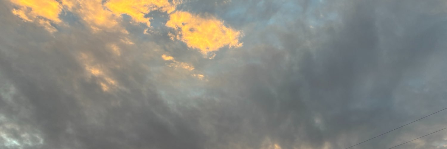 honielimon's profile banner image