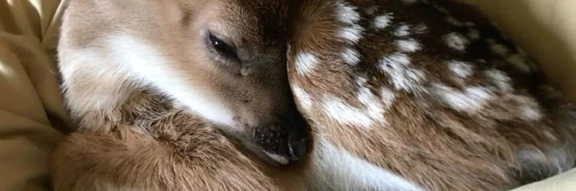 callmebaeh's profile banner image