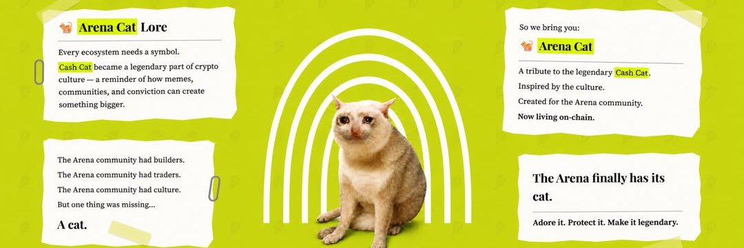 Arena Cat banner