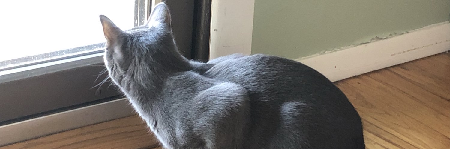 Ted Rall, America's BS Detector banner