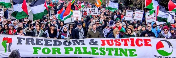 ZazaFL's banner