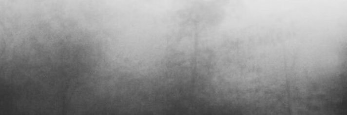 nxmcxw's profile banner image