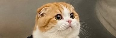 noppalove's profile banner image
