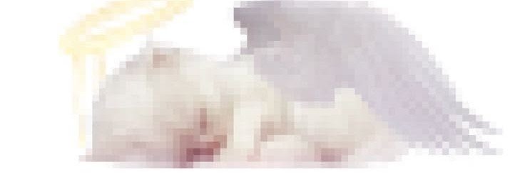 obsecxx's profile banner image