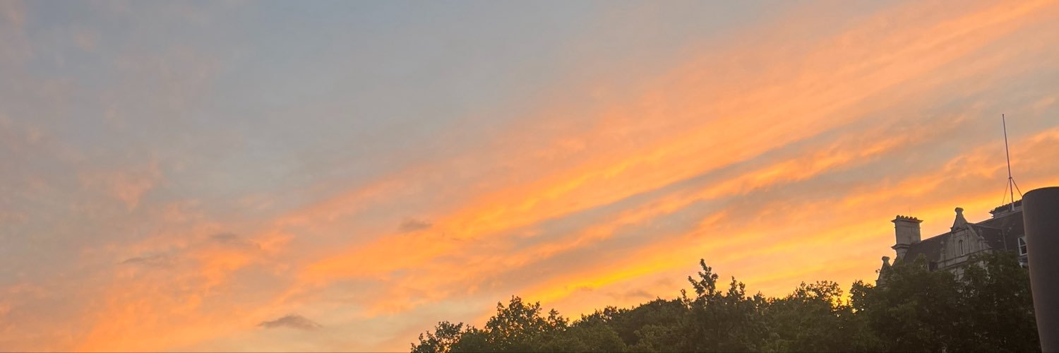 sylus0403's profile banner image