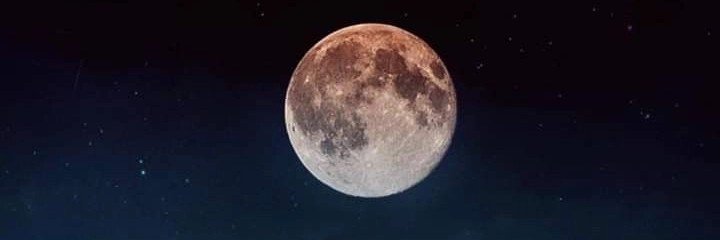 ljtalves's profile banner image