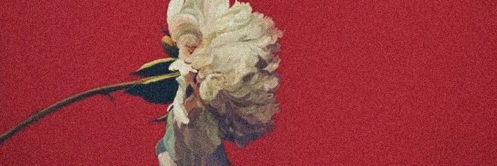 Hisse99's profile banner image
