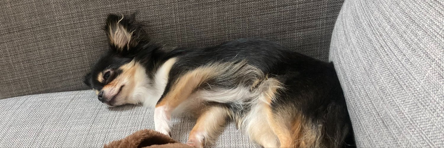oogmjq's profile banner image