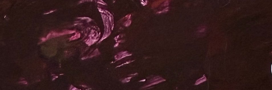 Fe___01's profile banner image