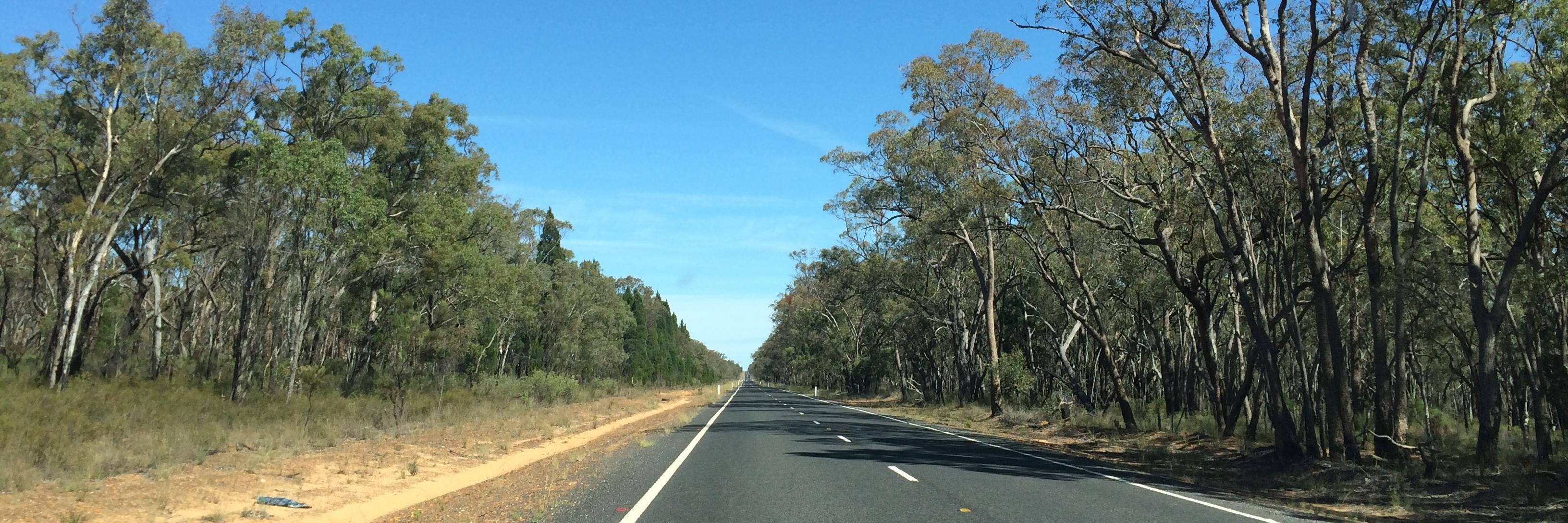 Nicolette Maury banner