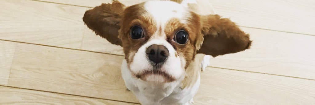 brkerdn's profile banner image