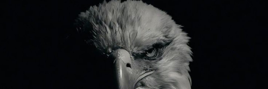 FXTH87's profile banner image