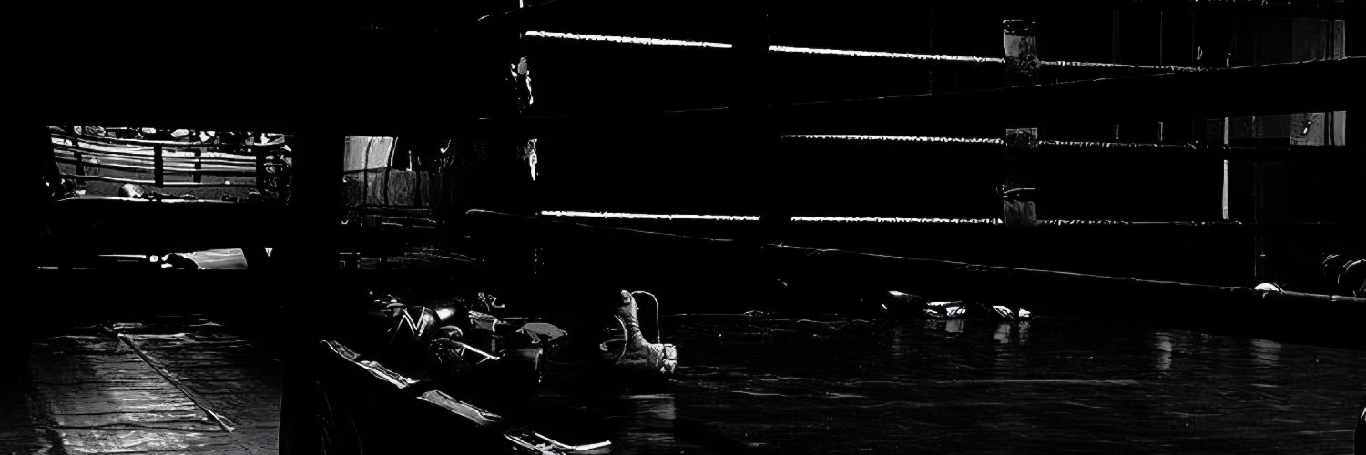 devocxxn's profile banner image