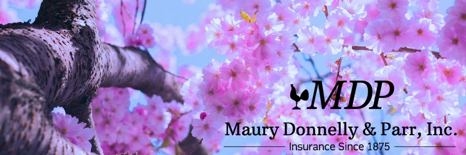 Maury Donnelly & Parr, Inc. banner