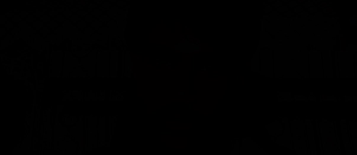 ziil63's profile banner image