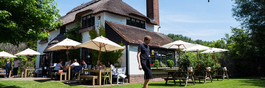 The Ginger Fox banner