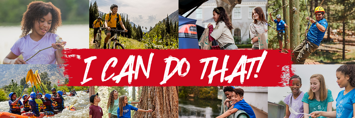 Greater St. Louis Area Scouting banner