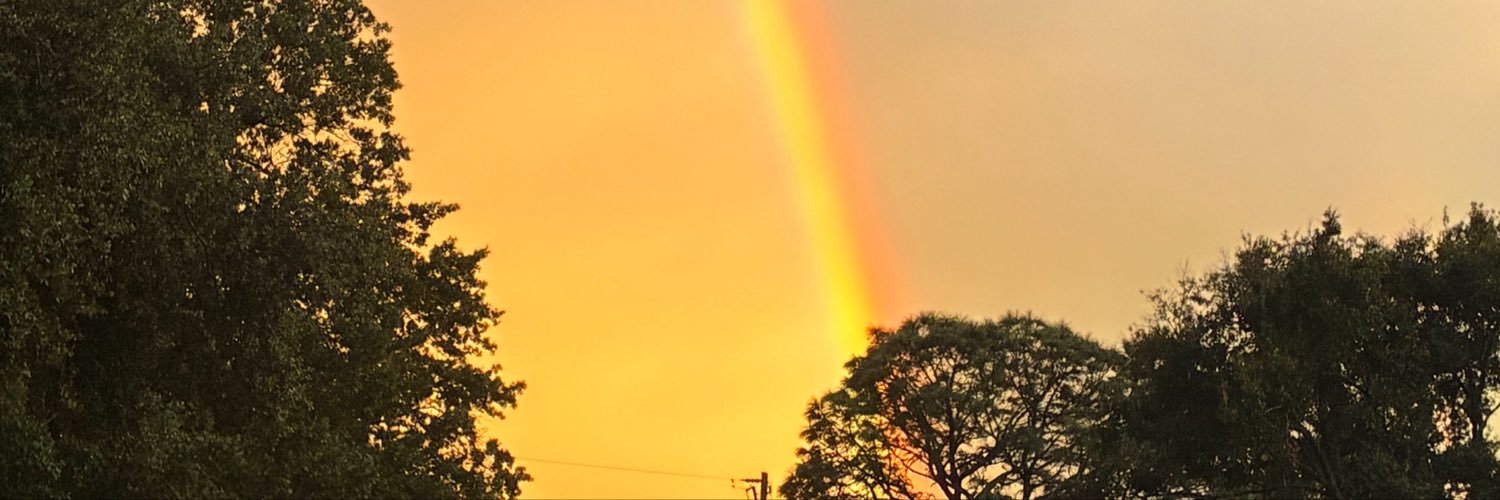 Cchiddenfiles's profile banner image