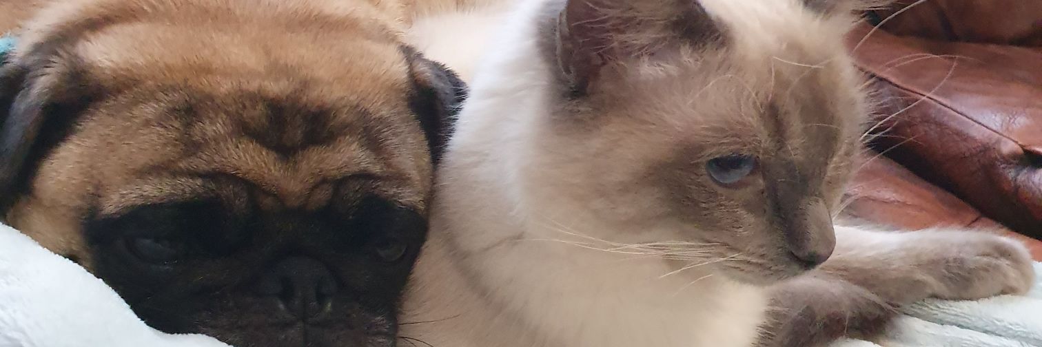 happyemily's profile banner image
