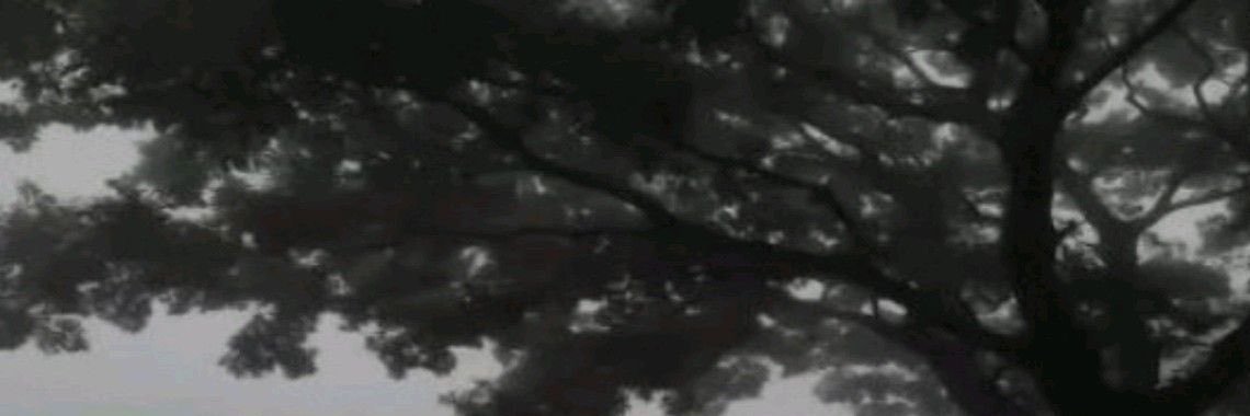 idonteatcement's profile banner image