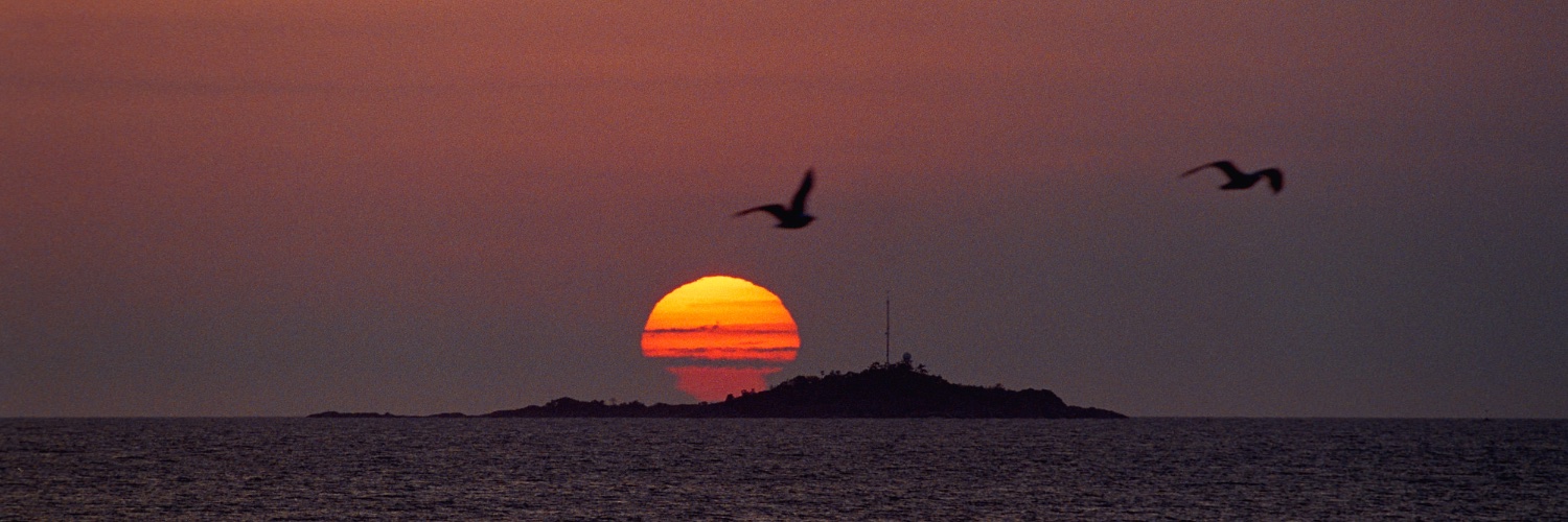 Robin Férand banner