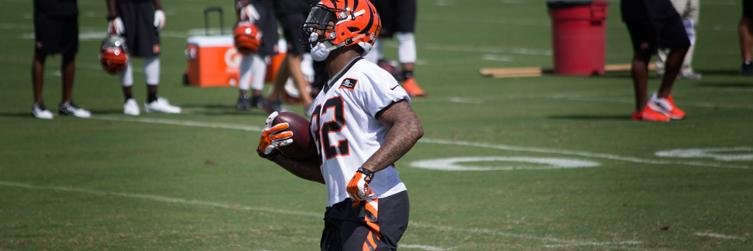 Go_Bengals's profile banner image