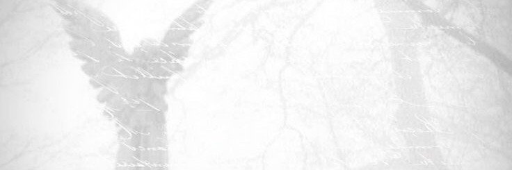 Amtmarchive's profile banner image