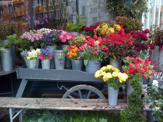 auriculas's profile banner image