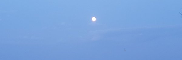 mkaram99 Profile Banner