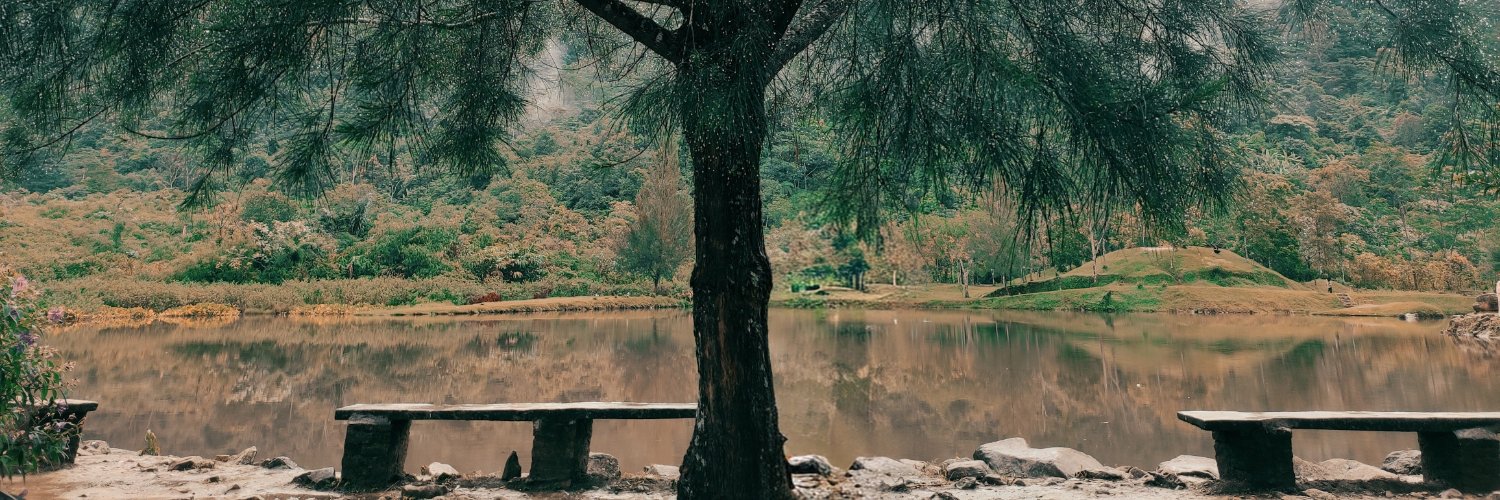 YourLieOnMe's profile banner image
