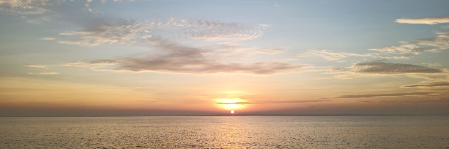 kodofo's profile banner image
