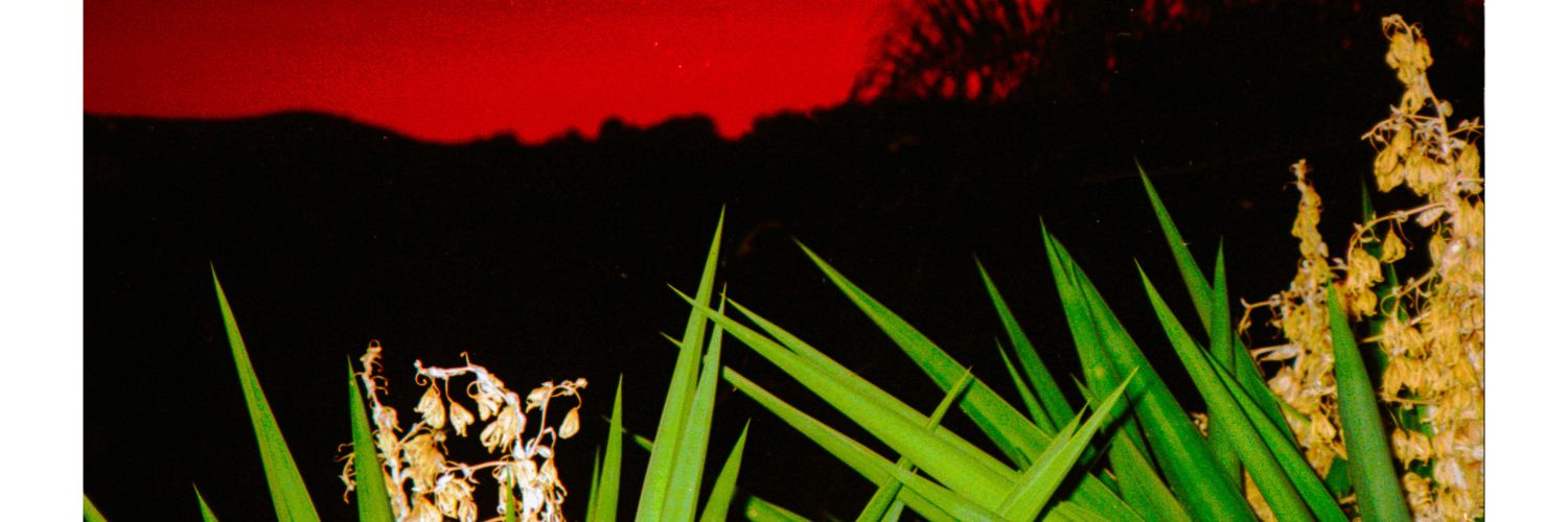 deadbeatcommie's profile banner image