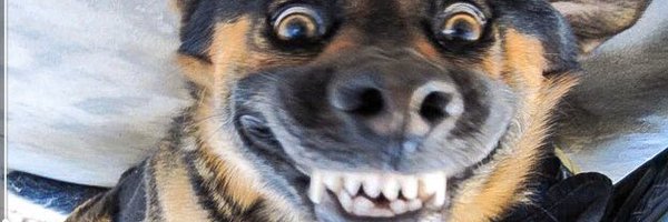 Mazza67 Profile Banner