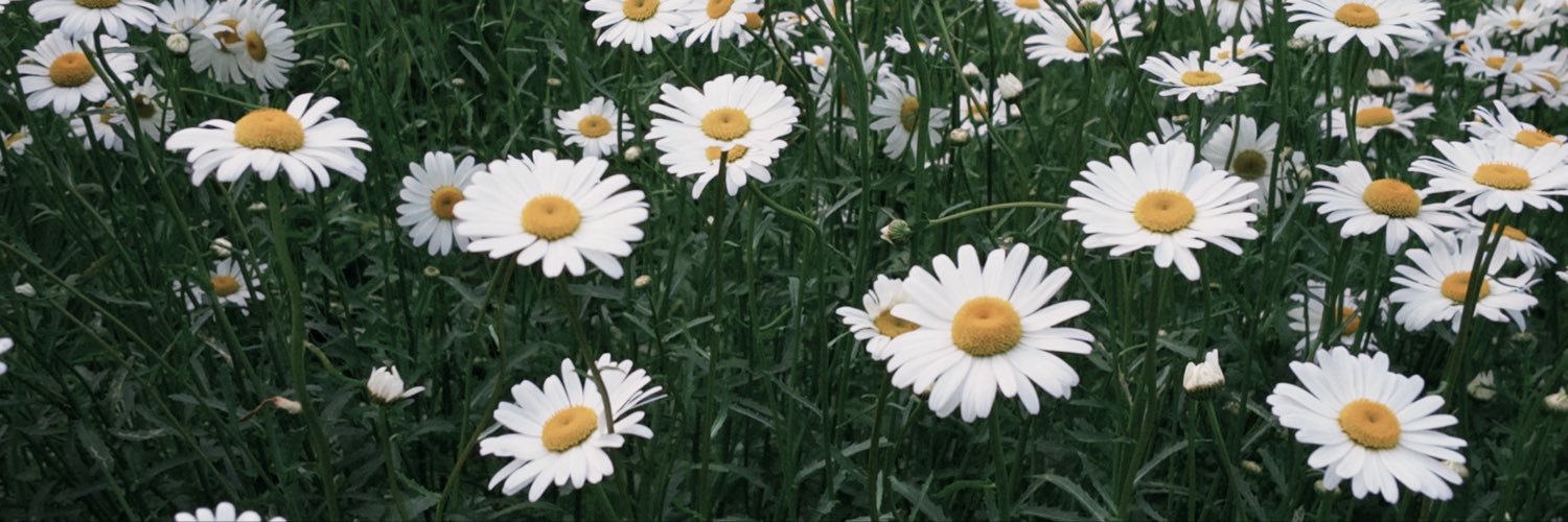 MooneElan's profile banner image